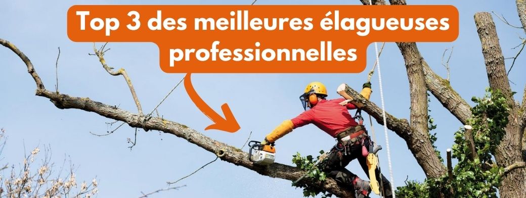 Meilleure élagueuse thermique professionnelle : notre top 3