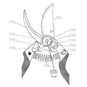 Cliquet et rondelles pour sécateur OGAN / OGAT Outils Wolf