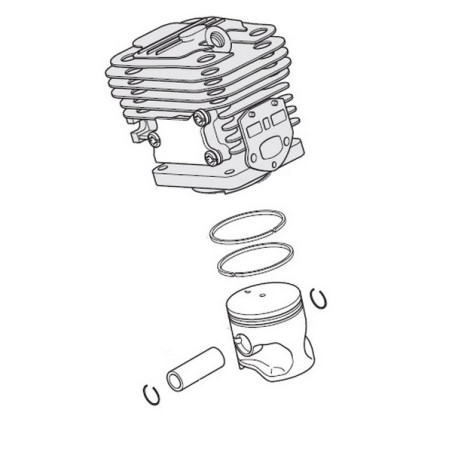 Moteur tronconneuse Alpina