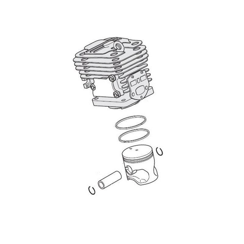 Moteur tronconneuse Alpina