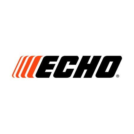 ACCELERATEUR C450001101 Echo