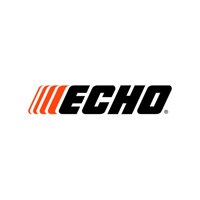 ACCELERATEUR C450001101 Echo