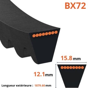 Courroie crantée trapézoïdale BX72