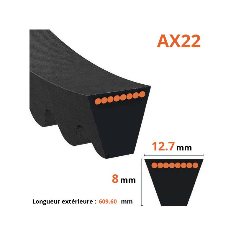 Courroie crantée trapézoïdale AX22