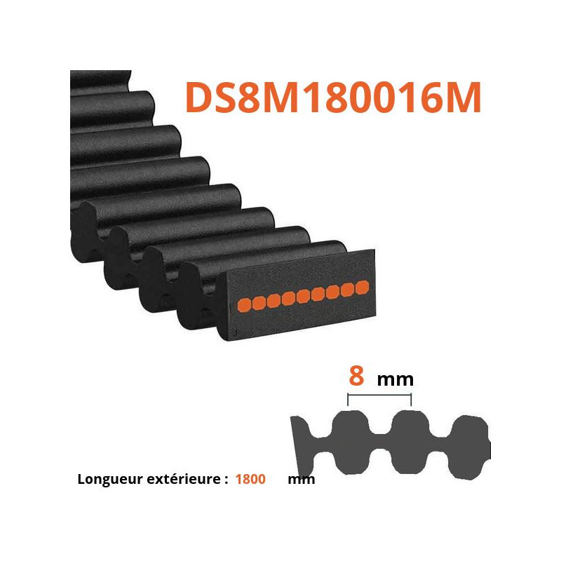 Courroie plate double dentée DS8M180016M