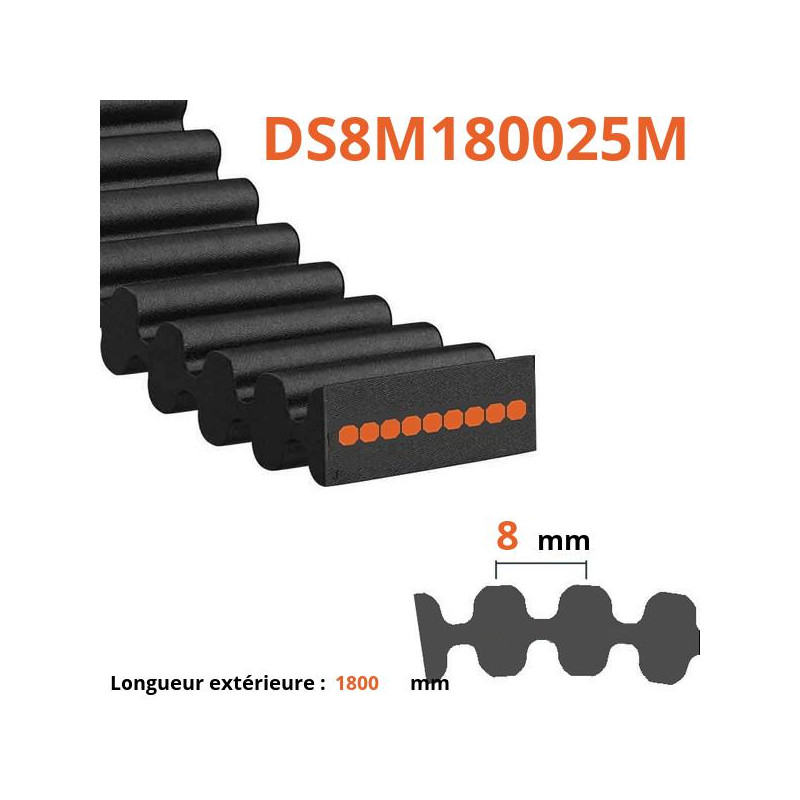 Courroie plate double dentée DS8M180025M