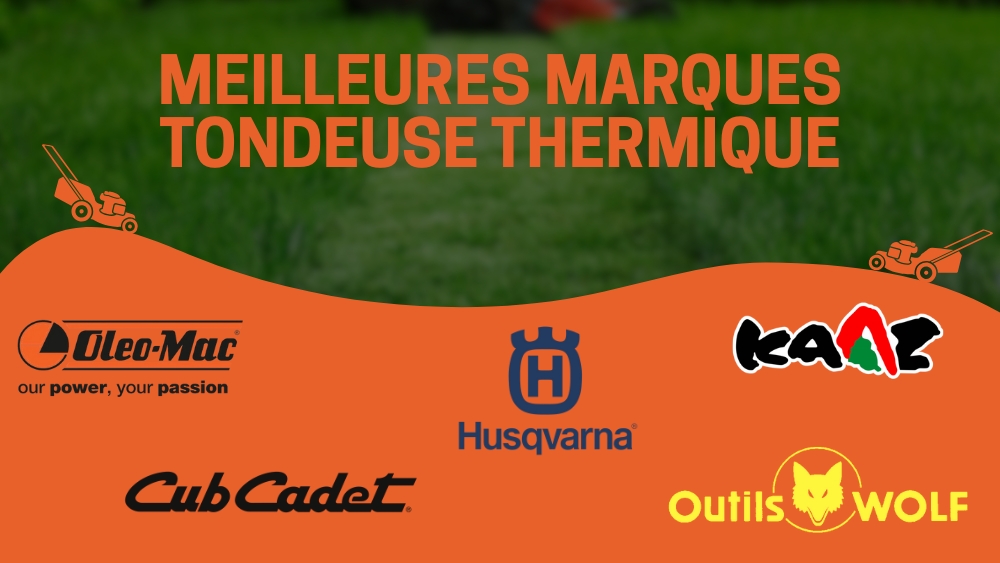 Meilleures marques de tondeuse thermique